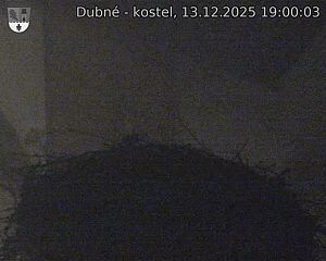 Capi_Dubne_20251213_190003.jpg (1350&nbsp;x&nbsp;1080)
