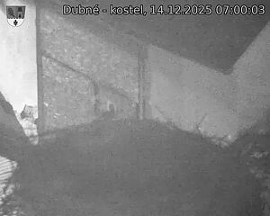 Capi_Dubne_20251214_070003.jpg (1350&nbsp;x&nbsp;1080)