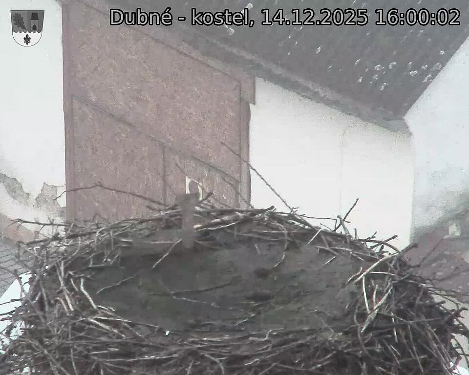 Capi_Dubne_20251214_160002.jpg (1350&nbsp;x&nbsp;1080)