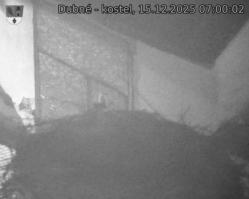 Capi_Dubne_20251215_070002.jpg (1350&nbsp;x&nbsp;1080)
