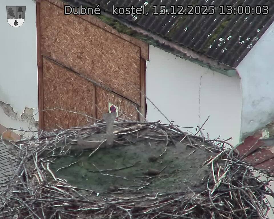 Capi_Dubne_20251215_130003.jpg (1350&nbsp;x&nbsp;1080)