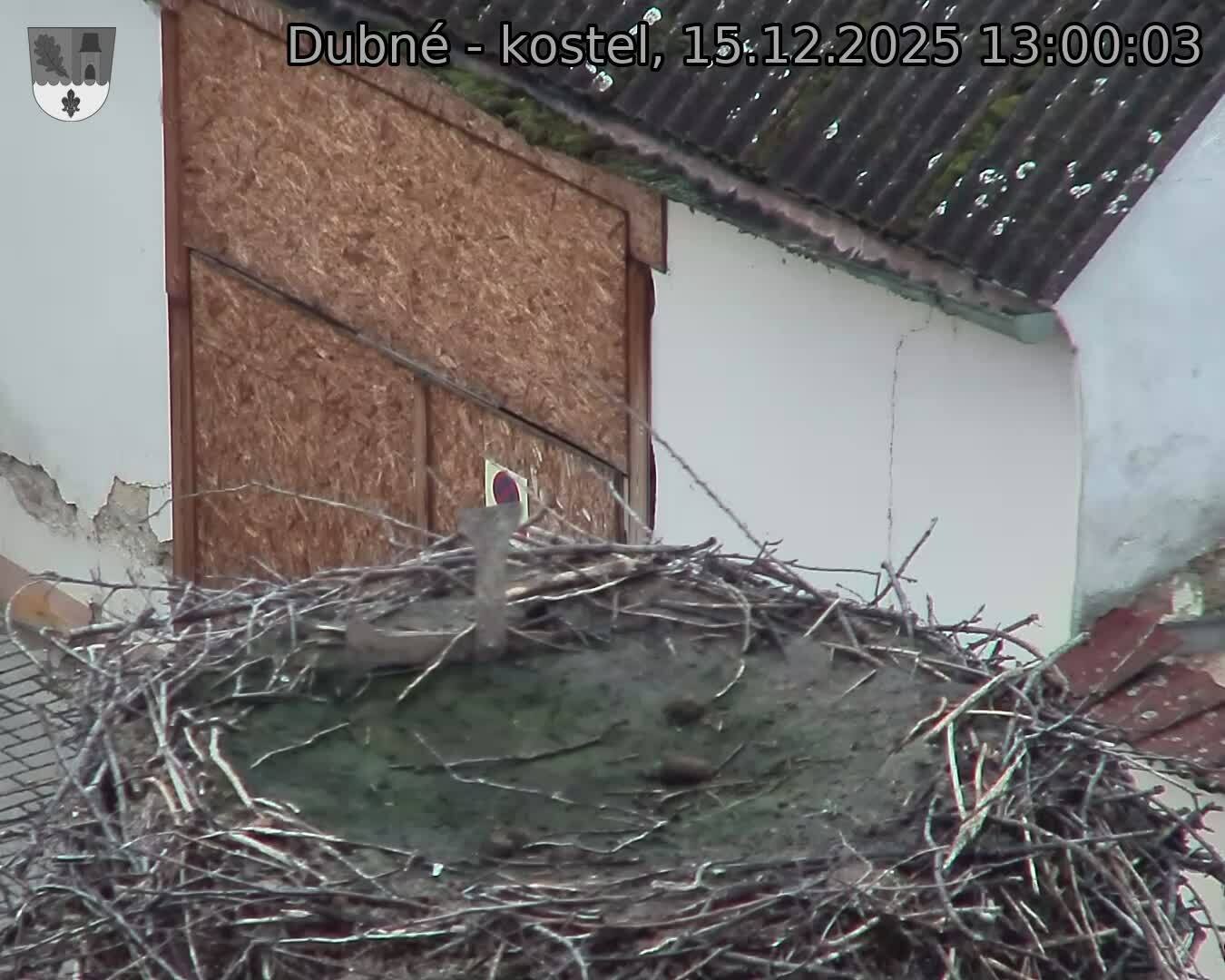 Capi_Dubne_20251215_130003.jpg (1350&nbsp;x&nbsp;1080)
