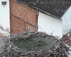 Capi_Dubne_20251215_160003.jpg (1350&nbsp;x&nbsp;1080)