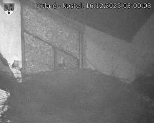 Capi_Dubne_20251216_030003.jpg (1350&nbsp;x&nbsp;1080)