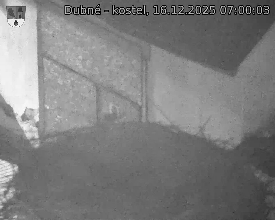 Capi_Dubne_20251216_070003.jpg (1350&nbsp;x&nbsp;1080)