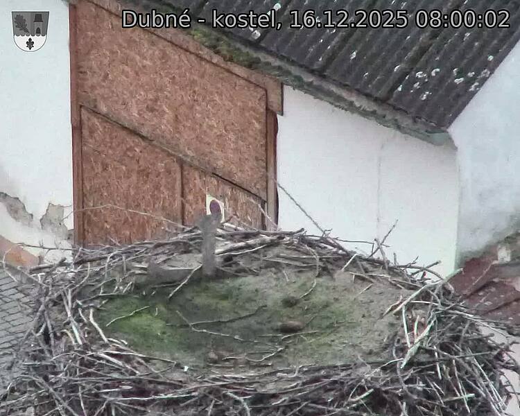 Capi_Dubne_20251216_080002.jpg (1350&nbsp;x&nbsp;1080)