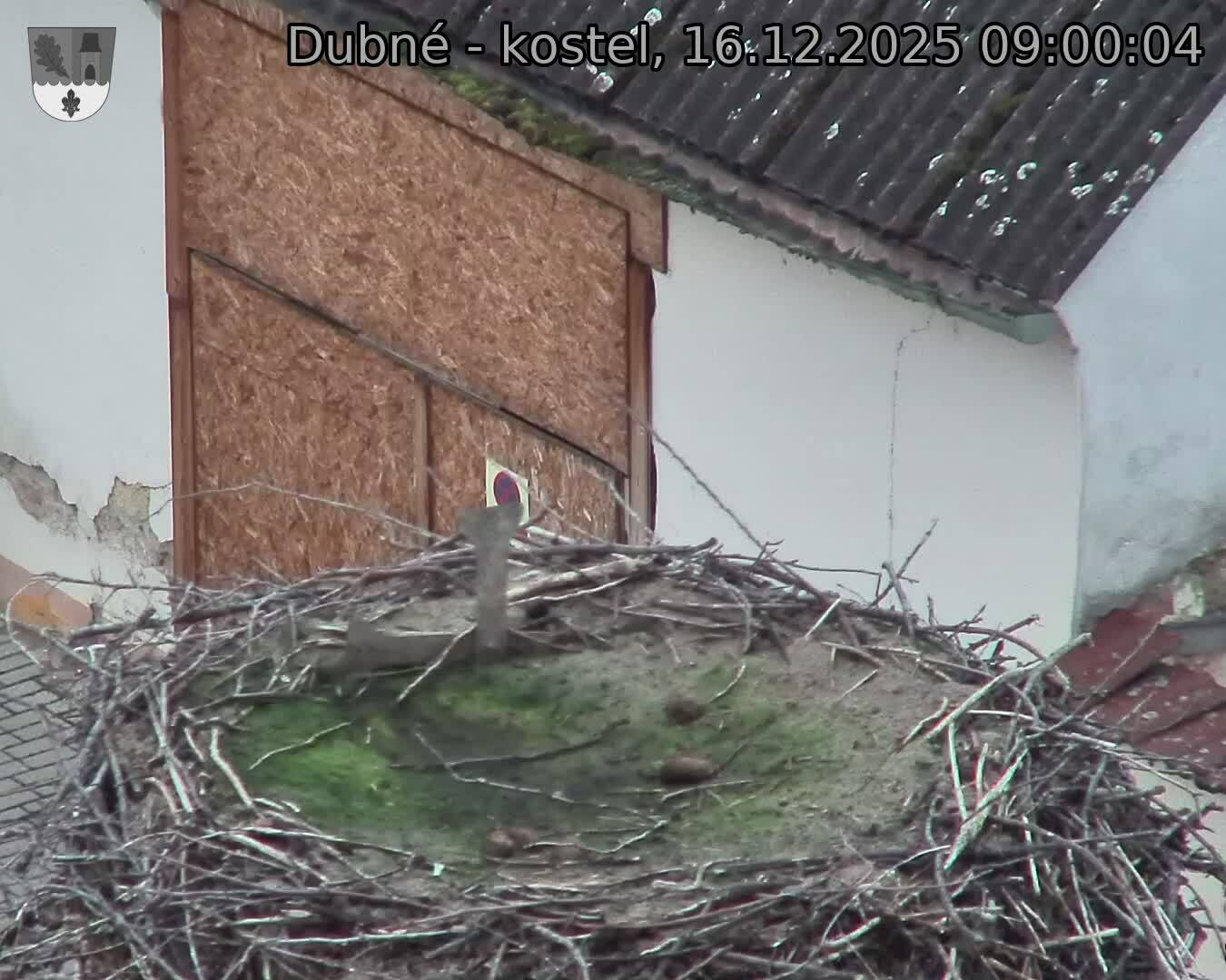 Capi_Dubne_20251216_090004.jpg (1350&nbsp;x&nbsp;1080)