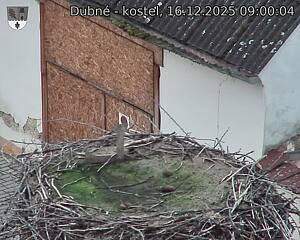 Capi_Dubne_20251216_090004.jpg (1350&nbsp;x&nbsp;1080)