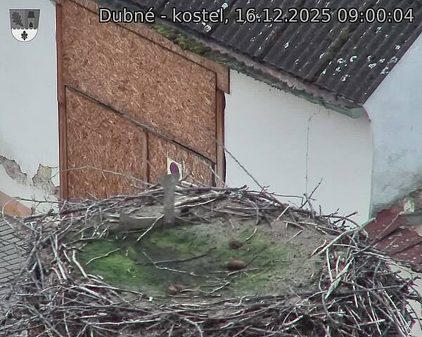 Capi_Dubne_20251216_090004.jpg (1350&nbsp;x&nbsp;1080)