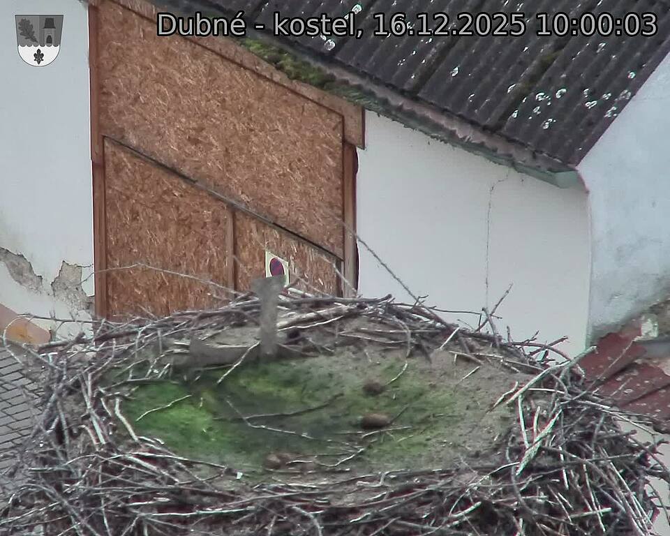 Capi_Dubne_20251216_100003.jpg (1350&nbsp;x&nbsp;1080)