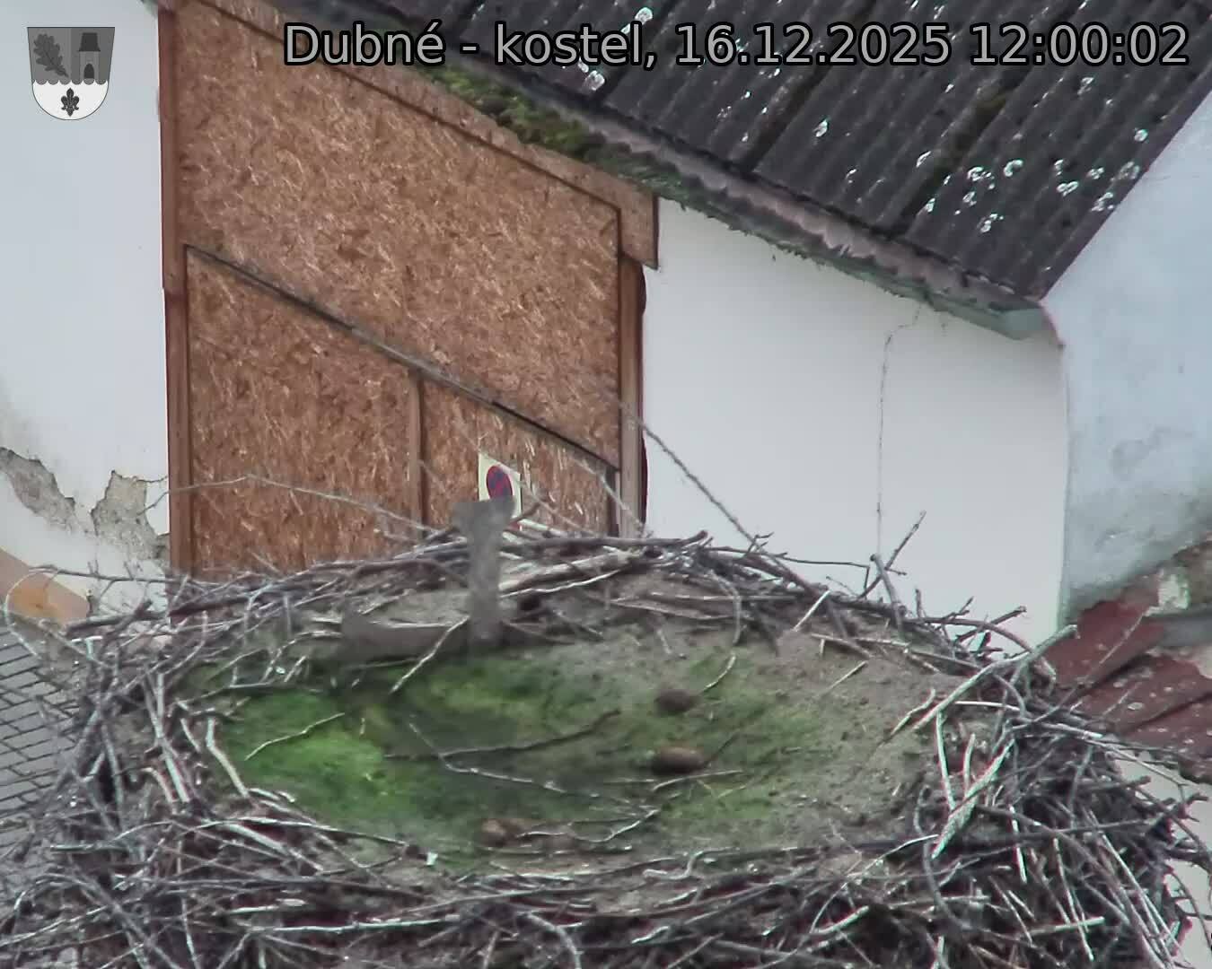 Capi_Dubne_20251216_120002.jpg (1350&nbsp;x&nbsp;1080)
