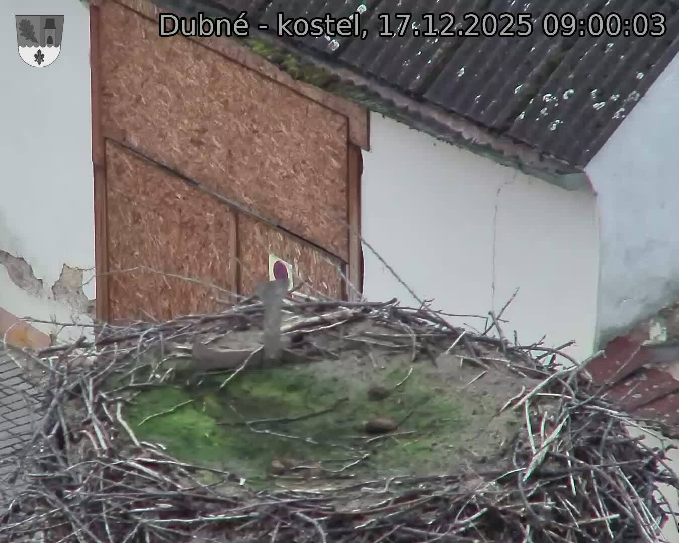 Capi_Dubne_20251217_090003.jpg (1350&nbsp;x&nbsp;1080)