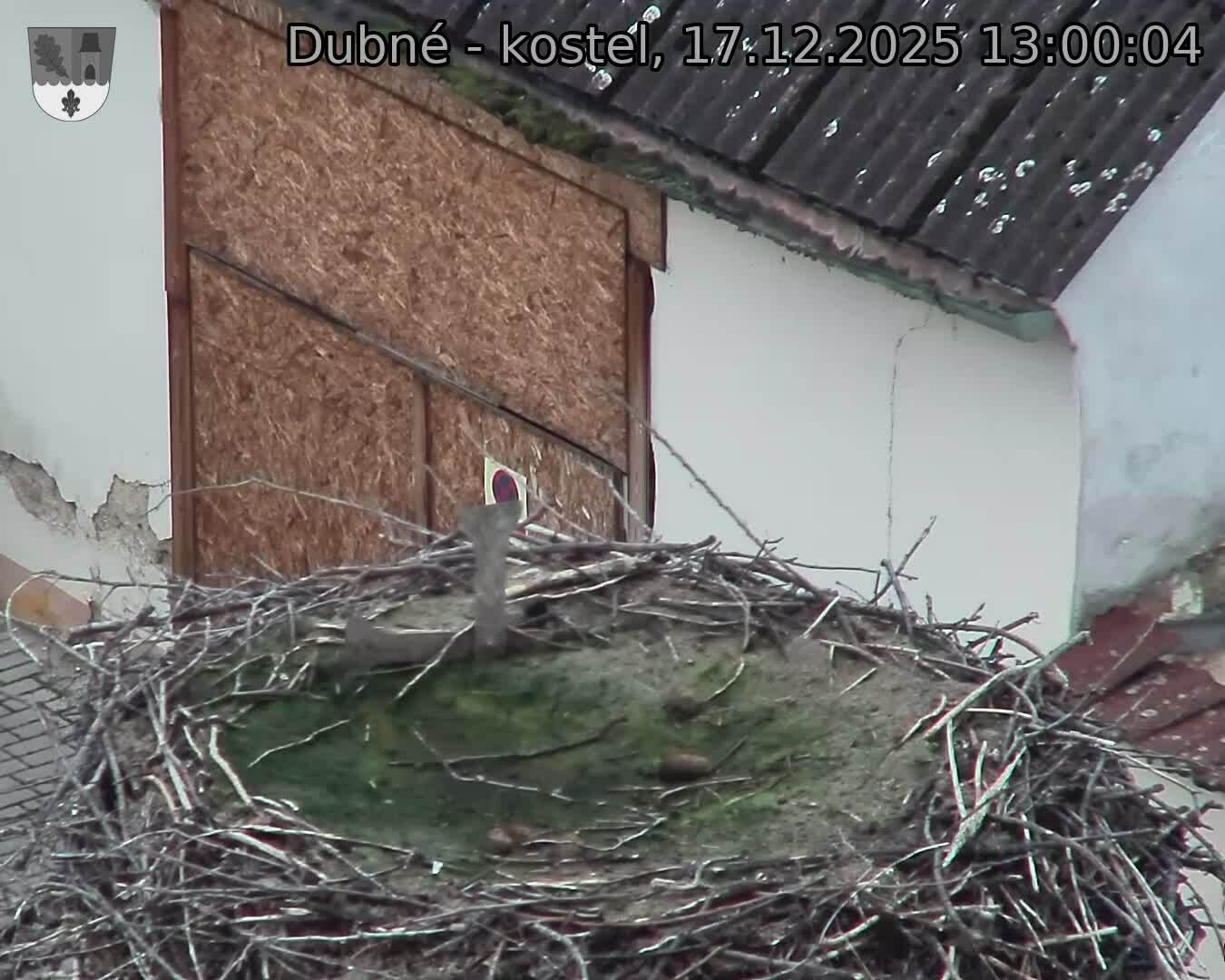 Capi_Dubne_20251217_130004.jpg (1350&nbsp;x&nbsp;1080)