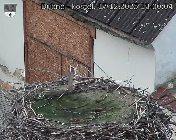 Capi_Dubne_20251217_130004.jpg (1350&nbsp;x&nbsp;1080)