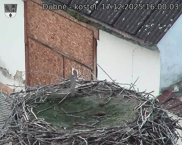 Capi_Dubne_20251217_160003.jpg (1350&nbsp;x&nbsp;1080)