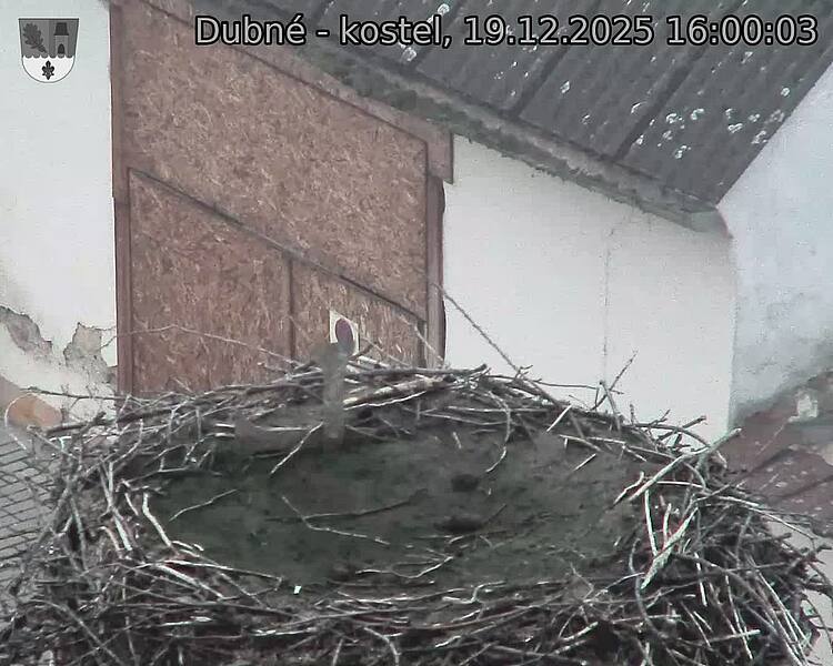 Capi_Dubne_20251219_160003.jpg (1350&nbsp;x&nbsp;1080)