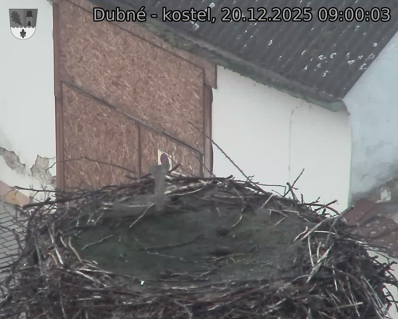 Capi_Dubne_20251220_090003.jpg (1350&nbsp;x&nbsp;1080)