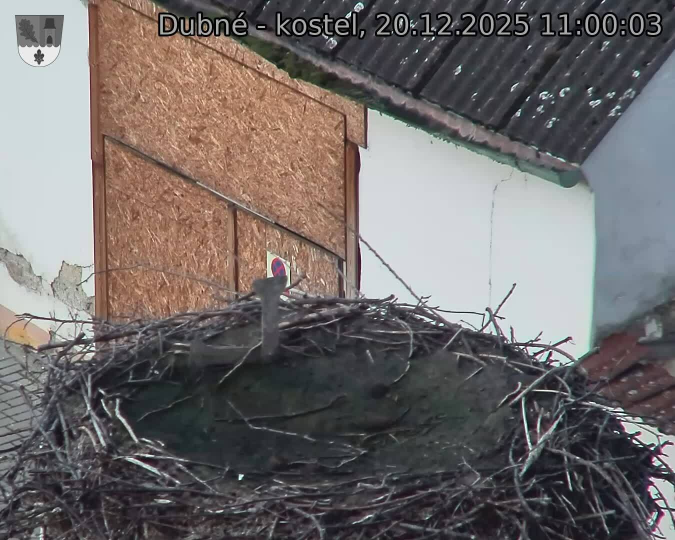 Capi_Dubne_20251220_110003.jpg (1350&nbsp;x&nbsp;1080)