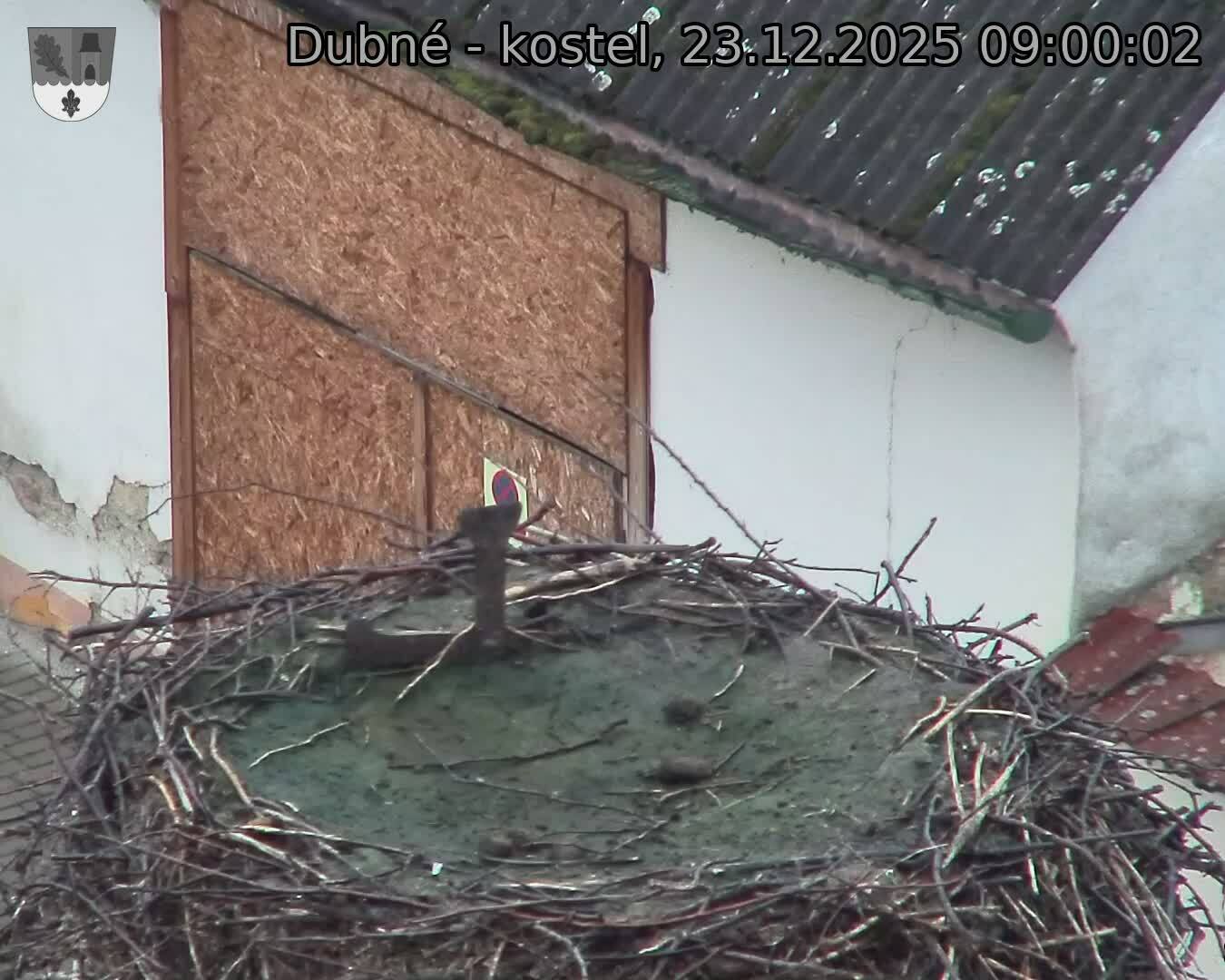 Capi_Dubne_20251223_090003.jpg (1350&nbsp;x&nbsp;1080)