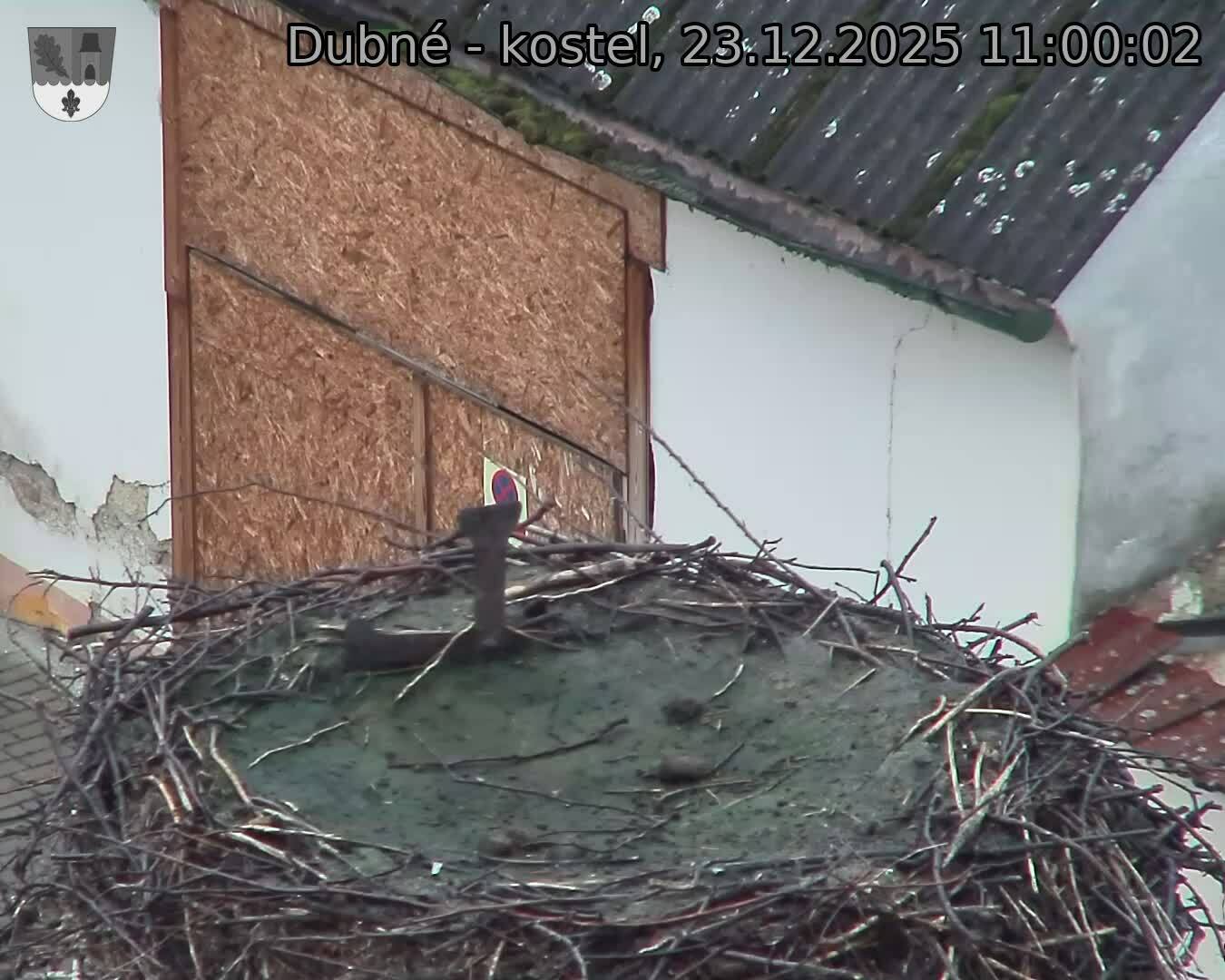 Capi_Dubne_20251223_110002.jpg (1350&nbsp;x&nbsp;1080)