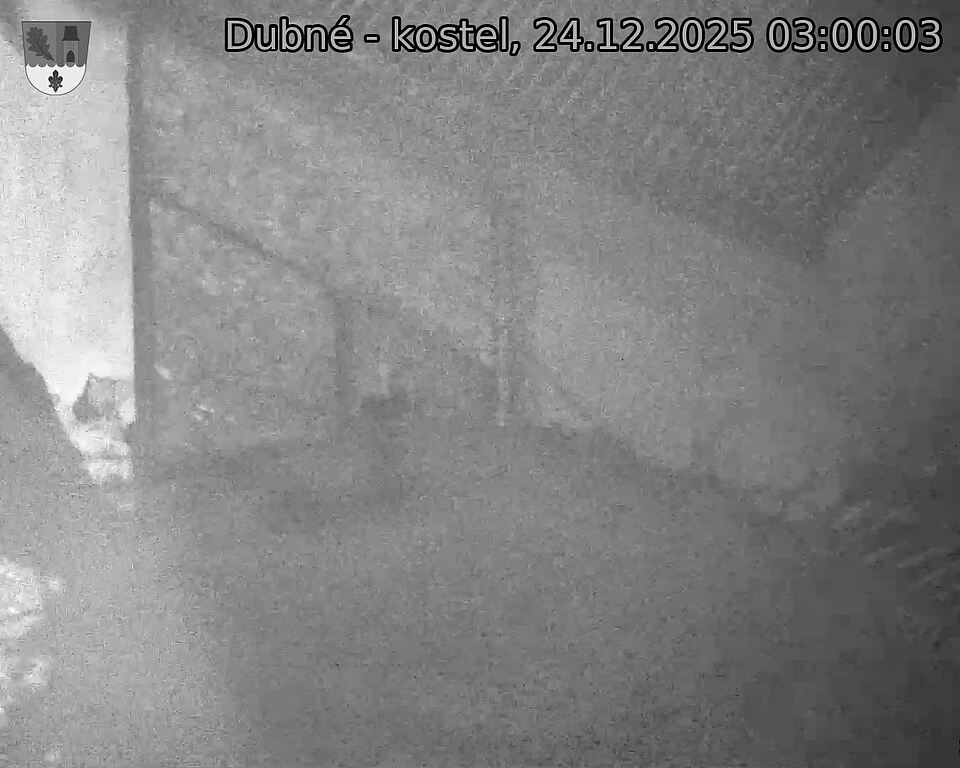 Capi_Dubne_20251224_030003.jpg (1350&nbsp;x&nbsp;1080)