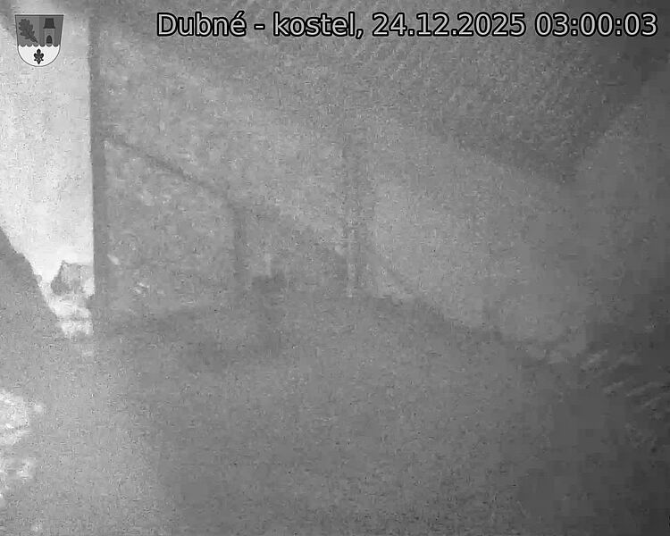 Capi_Dubne_20251224_030003.jpg (1350&nbsp;x&nbsp;1080)