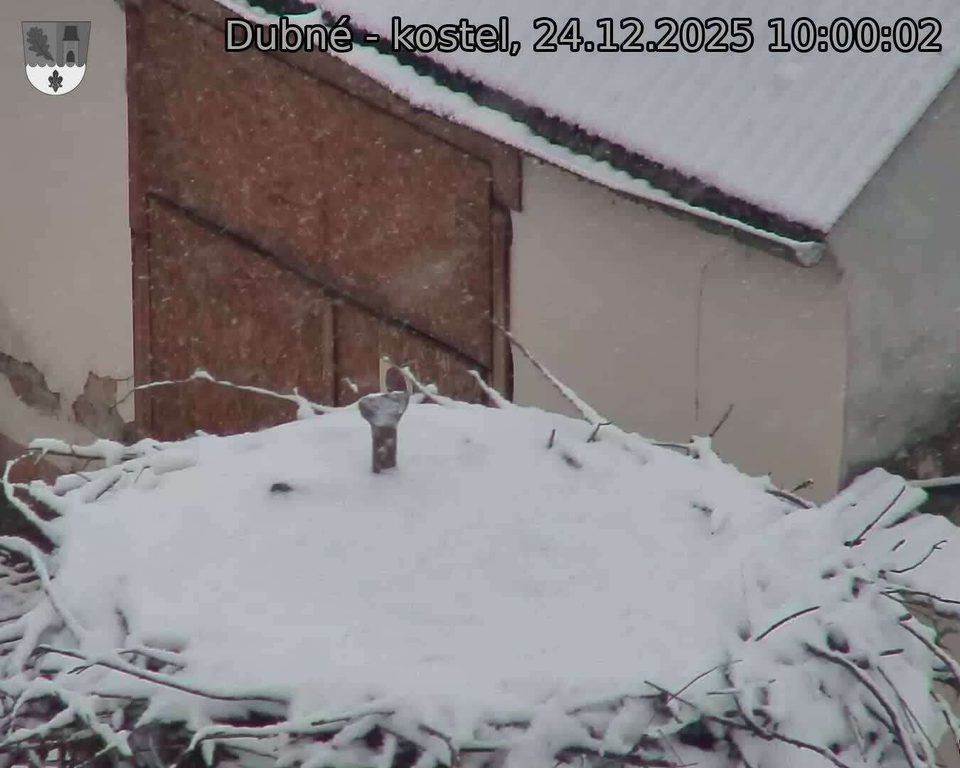 Capi_Dubne_20251224_100002.jpg (1350&nbsp;x&nbsp;1080)