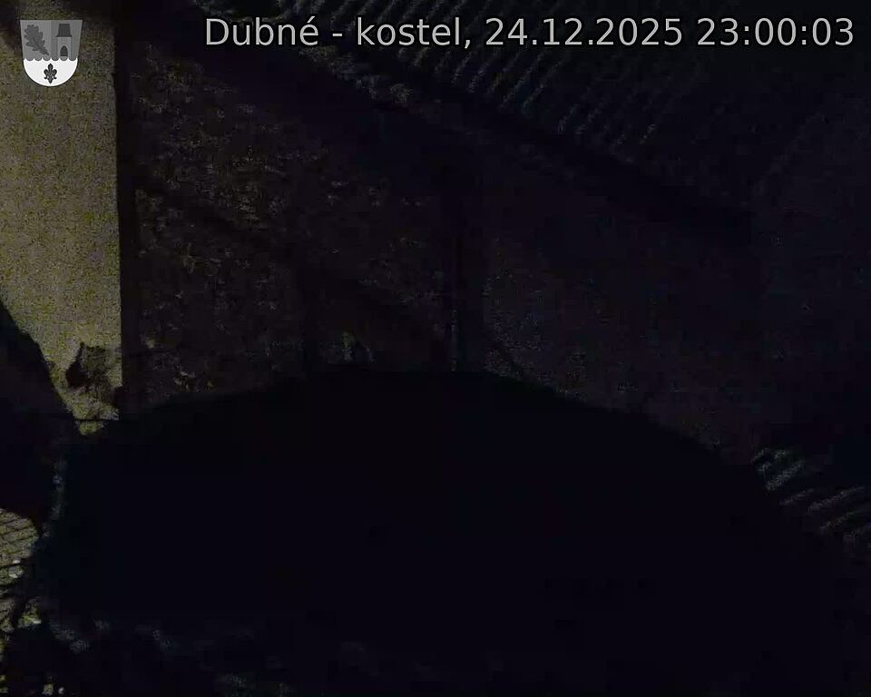 Capi_Dubne_20251224_230003.jpg (1350&nbsp;x&nbsp;1080)
