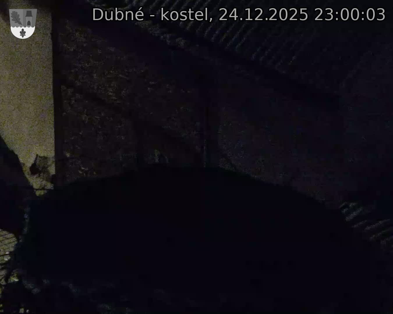 Capi_Dubne_20251224_230003.jpg (1350&nbsp;x&nbsp;1080)