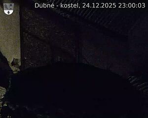 Capi_Dubne_20251224_230003.jpg (1350&nbsp;x&nbsp;1080)