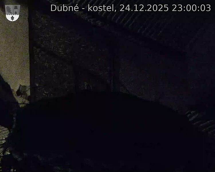 Capi_Dubne_20251224_230003.jpg (1350&nbsp;x&nbsp;1080)