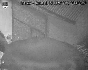 Capi_Dubne_20251225_000003.jpg (1350&nbsp;x&nbsp;1080)