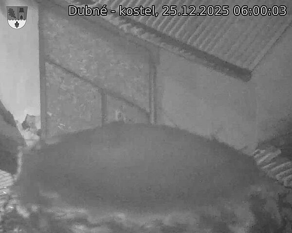 Capi_Dubne_20251225_060003.jpg (1350&nbsp;x&nbsp;1080)