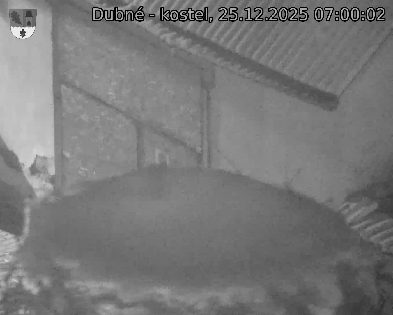 Capi_Dubne_20251225_070002.jpg (1350&nbsp;x&nbsp;1080)