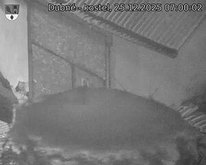 Capi_Dubne_20251225_070002.jpg (1350&nbsp;x&nbsp;1080)