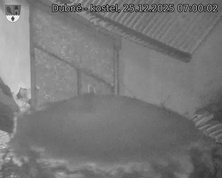 Capi_Dubne_20251225_070002.jpg (1350&nbsp;x&nbsp;1080)