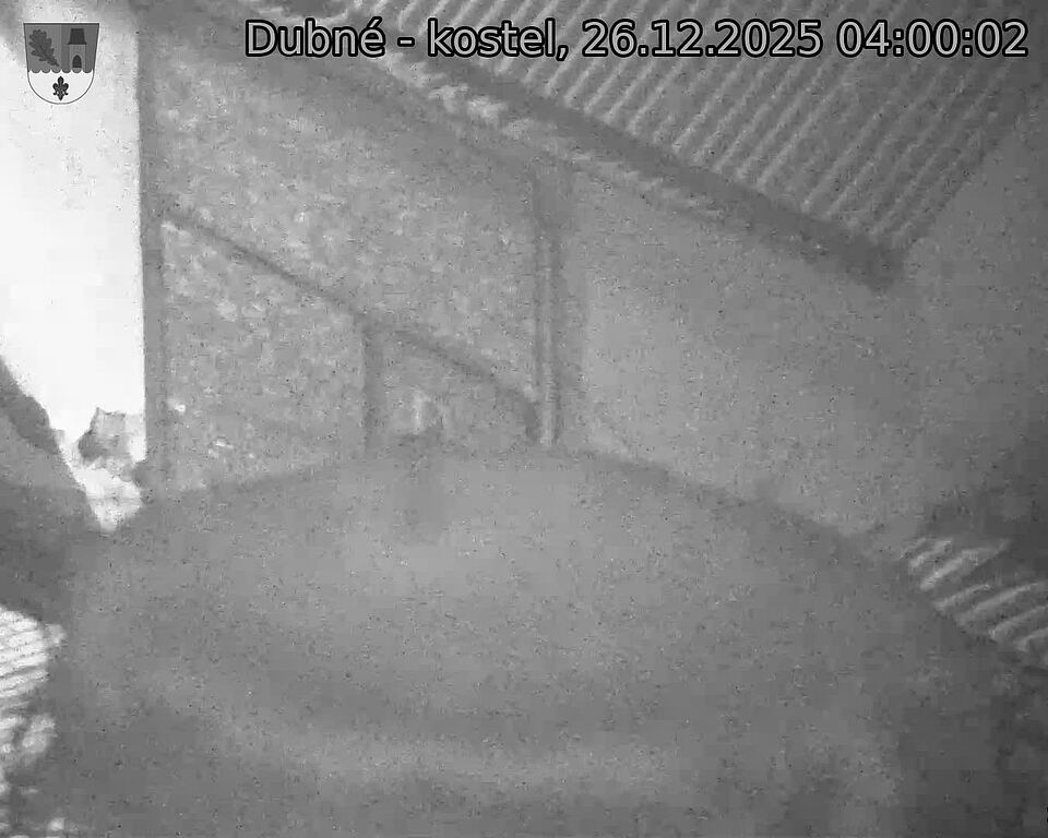 Capi_Dubne_20251226_040002.jpg (1350&nbsp;x&nbsp;1080)