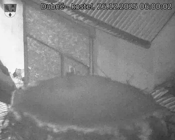 Capi_Dubne_20251226_060002.jpg (1350&nbsp;x&nbsp;1080)