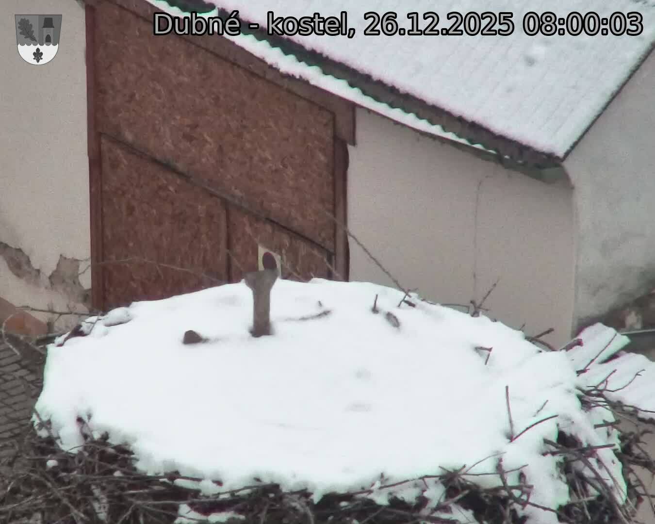 Capi_Dubne_20251226_080003.jpg (1350&nbsp;x&nbsp;1080)