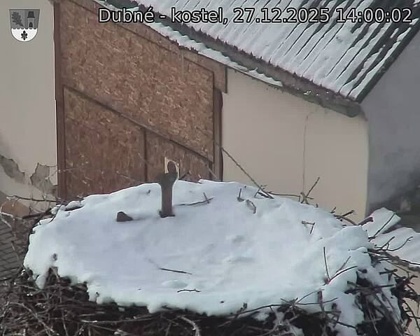 Capi_Dubne_20251227_140002.jpg (1350&nbsp;x&nbsp;1080)