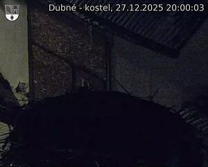 Capi_Dubne_20251227_200003.jpg (1350&nbsp;x&nbsp;1080)