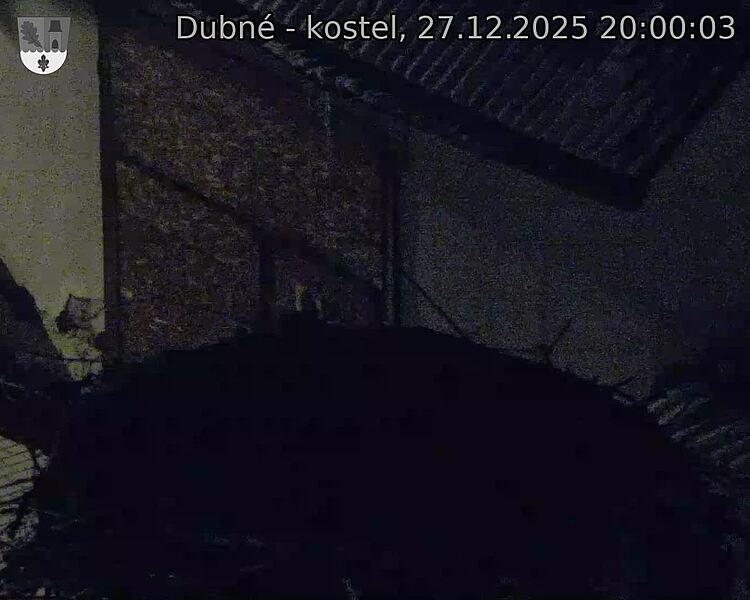 Capi_Dubne_20251227_200003.jpg (1350&nbsp;x&nbsp;1080)