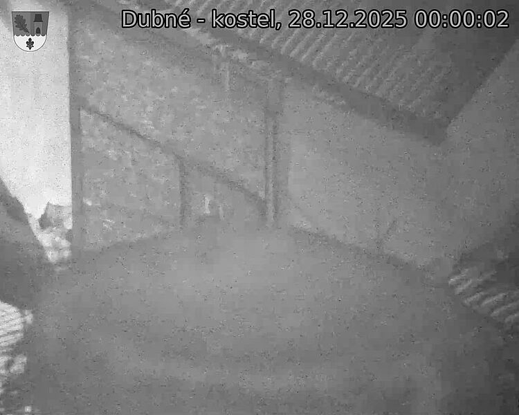 Capi_Dubne_20251228_000002.jpg (1350&nbsp;x&nbsp;1080)