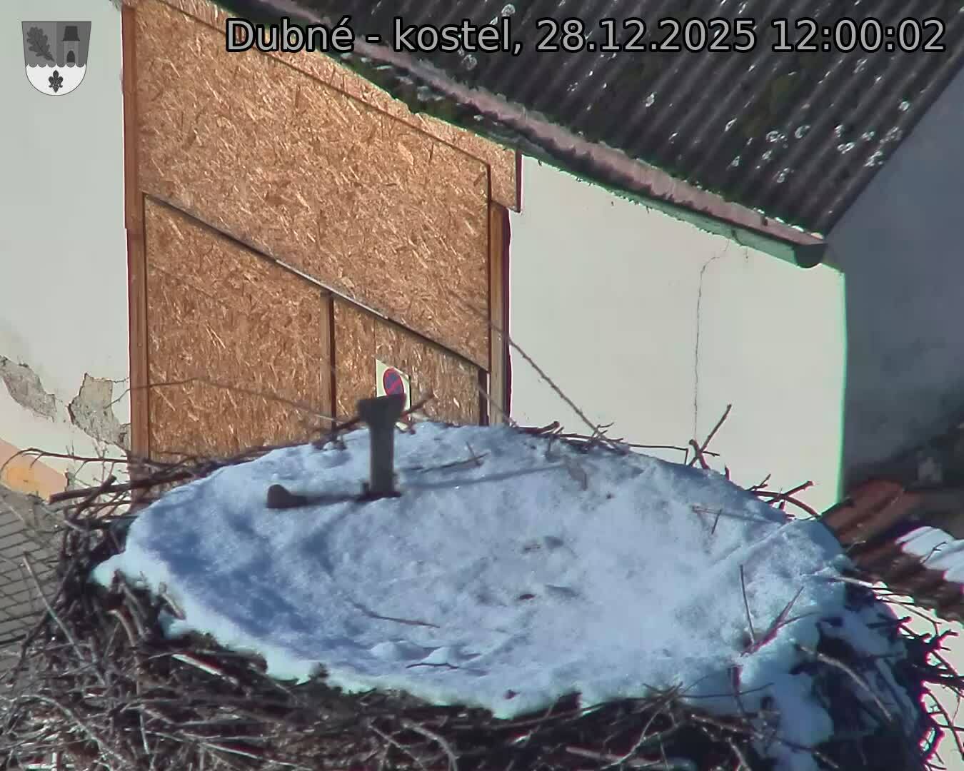 Capi_Dubne_20251228_120002.jpg (1350&nbsp;x&nbsp;1080)