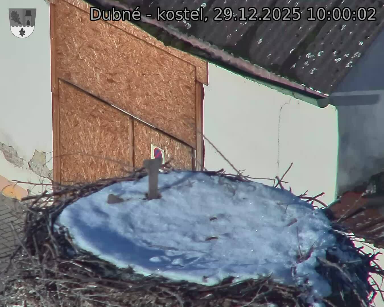 Capi_Dubne_20251229_100002.jpg (1350&nbsp;x&nbsp;1080)