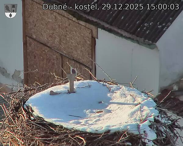 Capi_Dubne_20251229_150003.jpg (1350&nbsp;x&nbsp;1080)