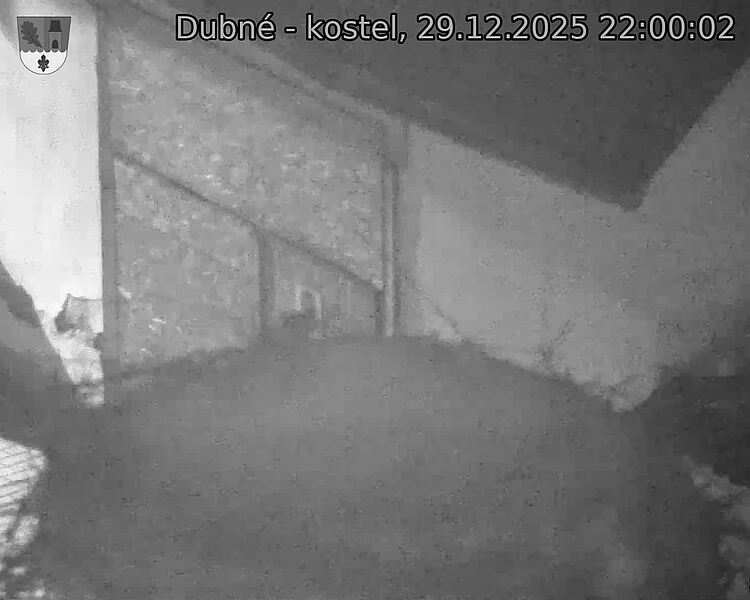 Capi_Dubne_20251229_220002.jpg (1350&nbsp;x&nbsp;1080)