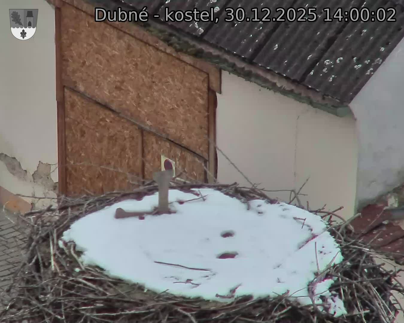 Capi_Dubne_20251230_140003.jpg (1350&nbsp;x&nbsp;1080)