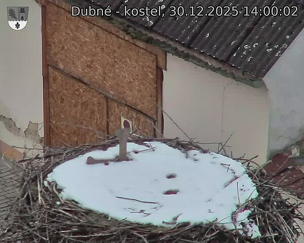 Capi_Dubne_20251230_140003.jpg (1350&nbsp;x&nbsp;1080)