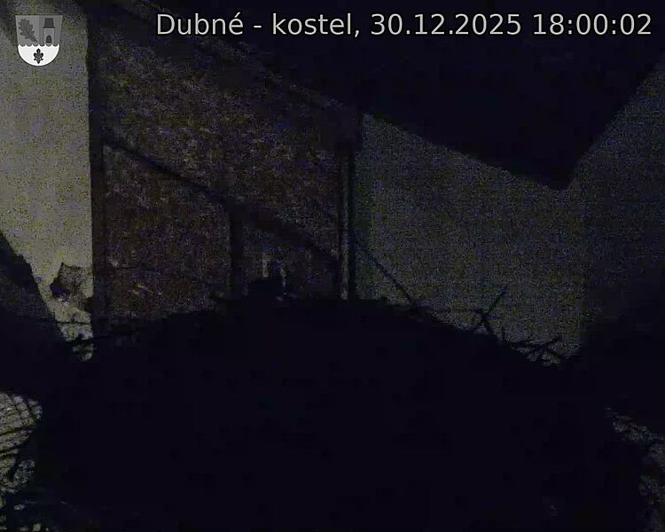 Capi_Dubne_20251230_180002.jpg (1350&nbsp;x&nbsp;1080)